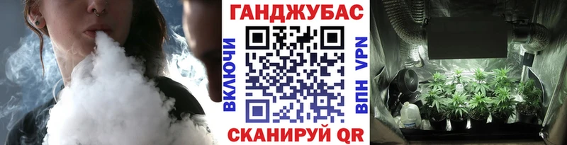 Бошки марихуана Amnesia  блэк спрут онион  Кремёнки 